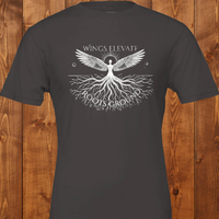 Load image into Gallery viewer, Study No. 21 Wings Elevate Roots Ground graphic t-shirt in Vintage Black.