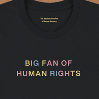 Load image into Gallery viewer, Close up collar detail of quiet luxury human rights graphic tee showing the absolute baseline for common decency hidden message.