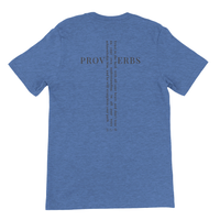 Load image into Gallery viewer, Heather Columbia Blue He Will Straighten Your Path shirt, flat back view showing PROVERBS with the full Proverbs 3:5-6 verse running down through it to form a cross, 3:5-6 beneath.
