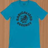 Load image into Gallery viewer, Clean studio shot of the Radicalized By Decency premium women's tee in slate blue. Highlighting the unyielding boundary line message and tailored, non-boxy silhouette.